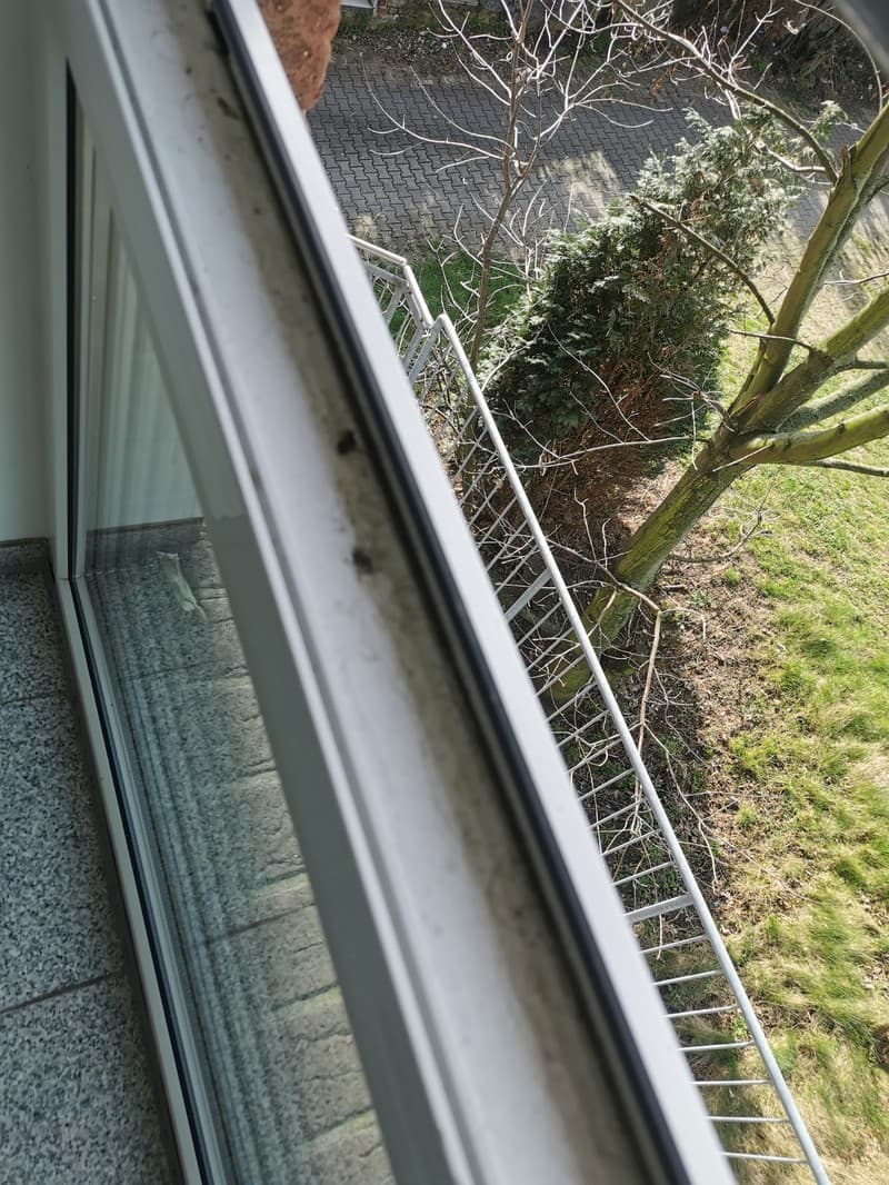 Aussenansicht durch ein Fenster auf einen Balkon mit einem Baum und Grünfläche. Das Fenster ist teilweise sichtbar und reflektiert den Boden.