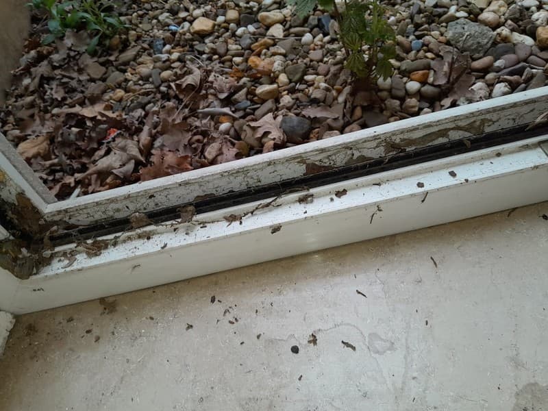Nahaufnahme eines Fensterrahmens mit Laub, Steinen und Pflanzen im Hintergrund. Der Rahmen ist weiß und weist Abnutzungsspuren auf.